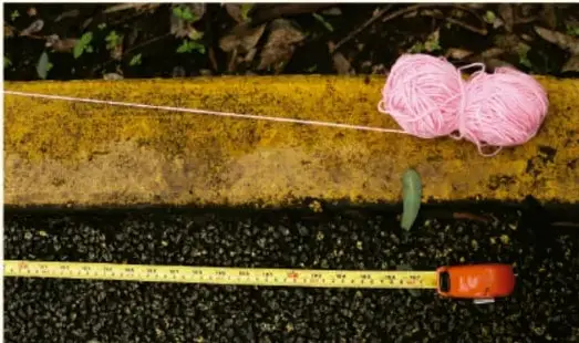Fotografía de un flexómetro extendido sobre el suelo junto a un muro de piedra, con un ovillo de estambre rosa y una hoja verde, ilustrando los materiales del experimento.