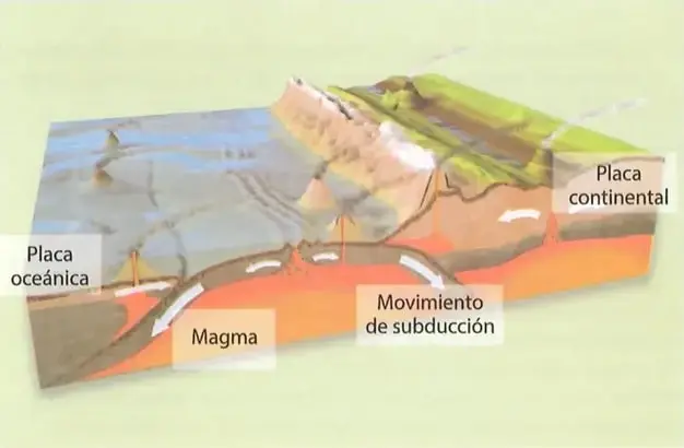 Figura 2 de Estudios Sociales 8° · 2025