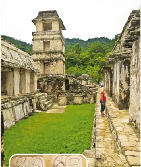 Ruinas de Palenque con su famosa torre (observatorio) y patios de piedra rodeados de césped y selva.