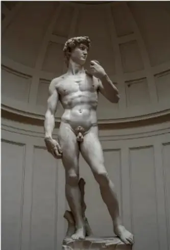 Escultura del David de Miguel Ángel, figura masculina de mármol en contrapposto.