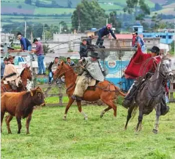 Escena de la Fiesta del Chagra en Machachi, con jinetes y rodeo de toros.