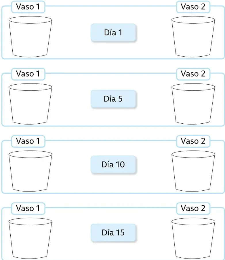 Cuatro bandas horizontales con los recuadros 'Vaso 1' y 'Vaso 2' y un rótulo central que indica el día (Día 1, Día 5, Día 10 y Día 15). Cada vaso está dibujado vacío para que el estudiante complete el registro.
