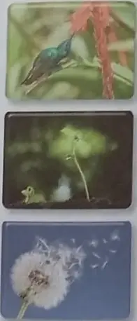 Tres fotografías: colibrí en flor (polinización), pequeña planta brotando (germinación), diente de león (dispersión).