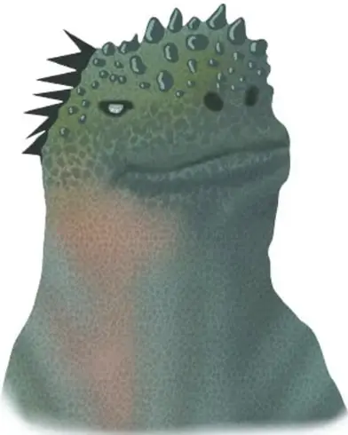Primer plano de una iguana marina de color verde con escamas y cresta de espinas.