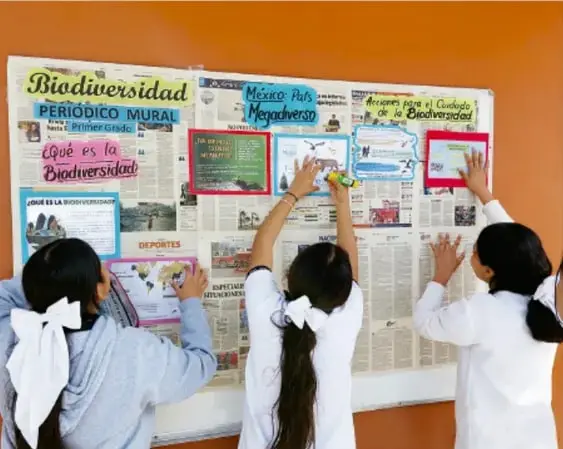Fotografía de tres estudiantes de telesecundaria colocando y revisando notas en un periódico mural titulado 'Biodiversidad', con secciones como '¿Qué es la Biodiversidad?', 'México, Hogar Mega diverso', 'Amenazas para la Biodiversidad', 'Deportes' y 'Informe Informativo'.