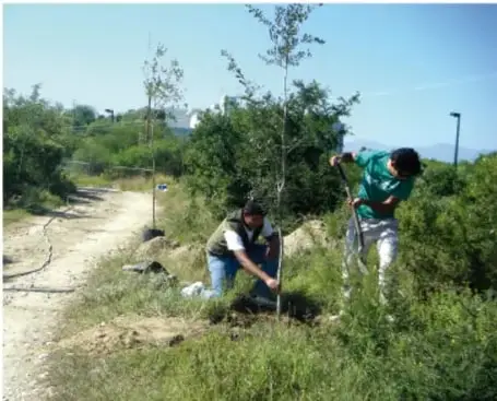 Dos jóvenes plantan un árbol en un terreno abierto, como acción ambiental comunitaria.