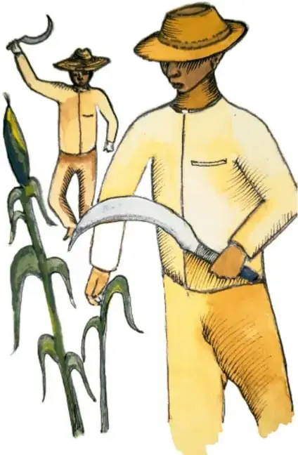 Ilustración de dos campesinos con sombrero cortando caña o maíz con machetes, que representa el trabajo del campo.