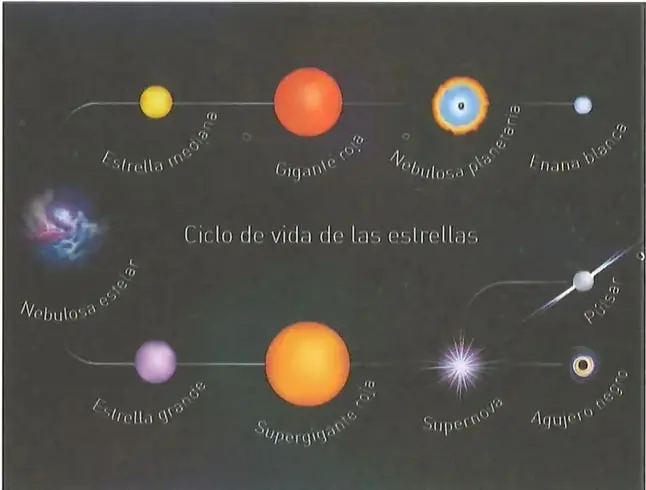Figura 2 de Ciencias Naturales 9° · 2025