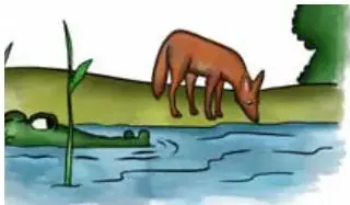 Ilustración de un chacal bebiendo agua en la orilla de un río con vegetación.