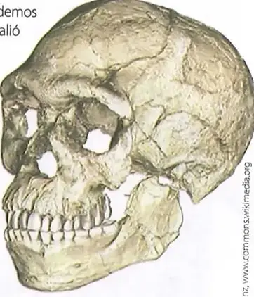 Figura 2 de Estudios Sociales 8° · 2025