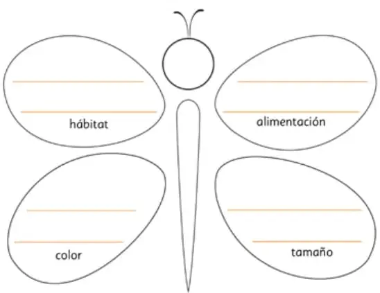 Organizador gráfico con forma de mariposa. En la cabeza hay una línea para escribir el nombre del insecto; en las cuatro alas hay líneas y las etiquetas hábitat, alimentación, color y tamaño.