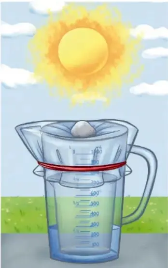 Recipiente al sol con el plástico empañado y gotas de agua, sobre el pasto.