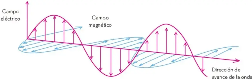 Esquema de una onda electromagnética: una curva roja representa el campo eléctrico oscilando verticalmente, una curva azul representa el campo magnético oscilando horizontalmente y una flecha indica la dirección de avance de la onda.