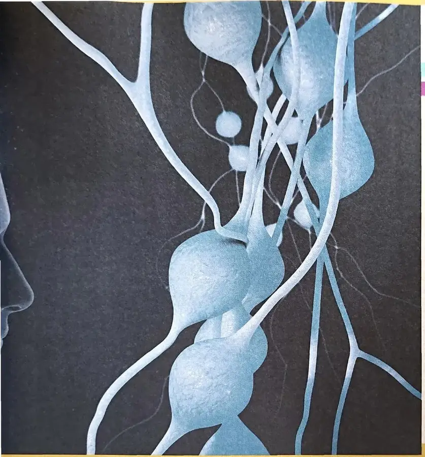 Ilustración en tonos azules de estructuras semejantes a neuronas, con cuerpos celulares y prolongaciones ramificadas sobre un fondo oscuro.