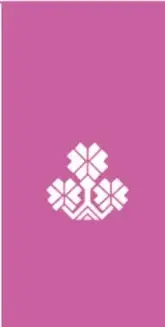Franja magenta decorativa con emblema blanco de tres flores/geometrías, símbolo de la colección.