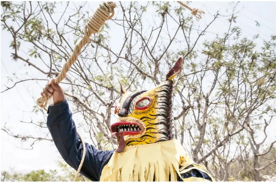 Danzante con máscara de tigre de Zitlala, Guerrero: casco amarillo con rayas negras, fauces abiertas con dientes y lengua roja, viste capa amarilla con flecos y sostiene un látigo de soga en alto; al fondo, árboles y cielo.