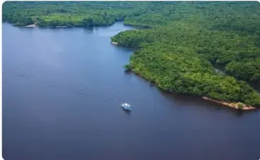 Fotografía aérea del río Amazonas rodeado de vegetación.