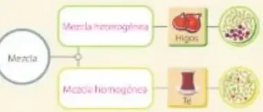 Figura 6 de Ciencias Naturales 5° · Egb 5 Ciencias Naturales 2024 · 2024