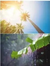 Collage de paisajes con sol, vegetación lluviosa y un paisaje andino con arcoíris, que representa la diversidad climática del Ecuador.