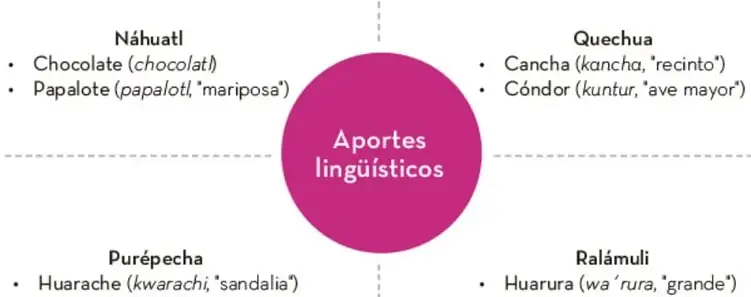 Diagrama circular 'Aportes lingüísticos' con cuatro cuadrantes que listan palabras provenientes de las lenguas náhuatl, quechua, purépecha y ralámuli.