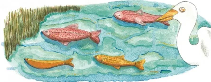 Ilustración de un ecosistema acuático con peces y un ave, y vegetación ribereña.