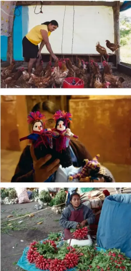 Una mujer alimenta gallinas en un corral rústico, actividad productiva del ámbito rural.