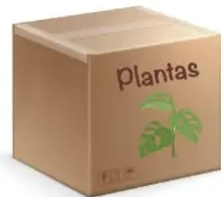 Planta dentro de una bolsa transparente amarrada.