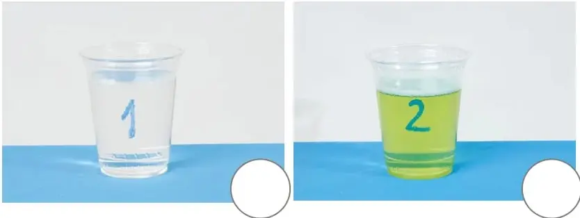 Sección Registro con dos recuadros rotulados 'Pluma vaso 1' y 'Pluma vaso 2', cada uno con líneas para escribir observaciones.