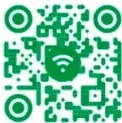 Número de página 213 con icono decorativo verde