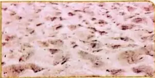 Imagen de arena clara con granos visibles, asociada con el suelo arenoso.