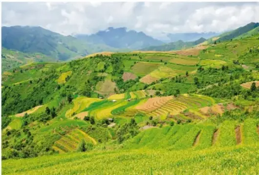 Fotografía de un paisaje montañoso con terrazas agrícolas verdes, mostrando la técnica de cultivo en escalones.