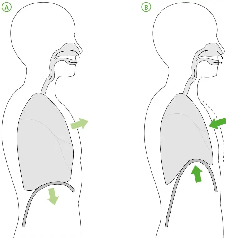 Silueta humana inhalando: flechas de aire entran por la nariz, las costillas se elevan y el diafragma baja (flecha hacia abajo).