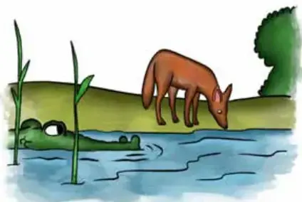 Ilustración de un chacal bebiendo agua en la orilla de un río, mientras un cocodrilo asoma los ojos desde el agua.
