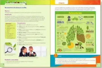 Doble página ilustrativa con una actividad investigativa y una infografía sobre deforestación.