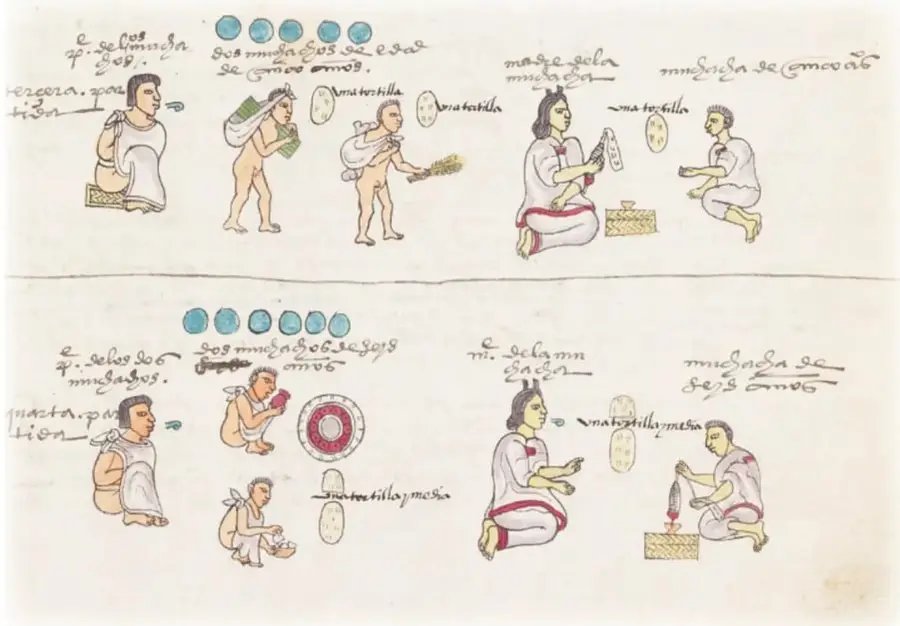 Lámina de códice con dos registros que muestran a jóvenes mexicas cargando ofrendas, ofreciendo objetos a sus maestros y recibiendo enseñanzas; incluye anotaciones en náhuatl en escritura colonial.
