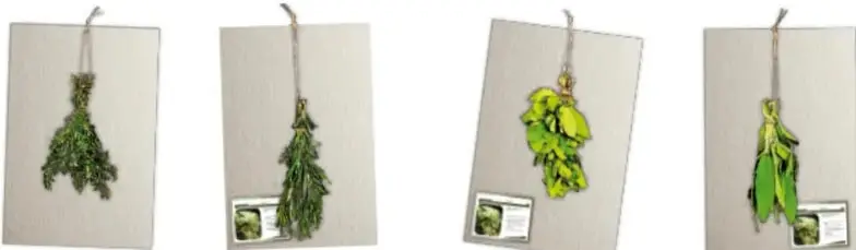 Cuatro tarjetas colgadas con cuerdas, cada una con un ramo de hierbas o plantas medicinales secas y una etiqueta con la fotografía de la planta fresca.