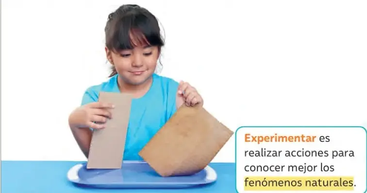 Niña con polera celeste sostiene un trozo de cartón y un plato de plástico (o papel grueso) sobre una bandeja, mirando los materiales antes de mojarlos.