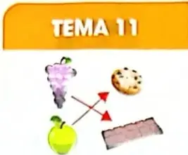 Tabla que combina las letras A, B y C con los números 1 y 2.