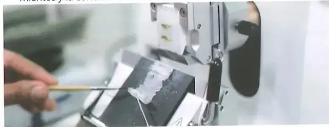 Figura 2 de Ciencias Naturales 10° · 2025