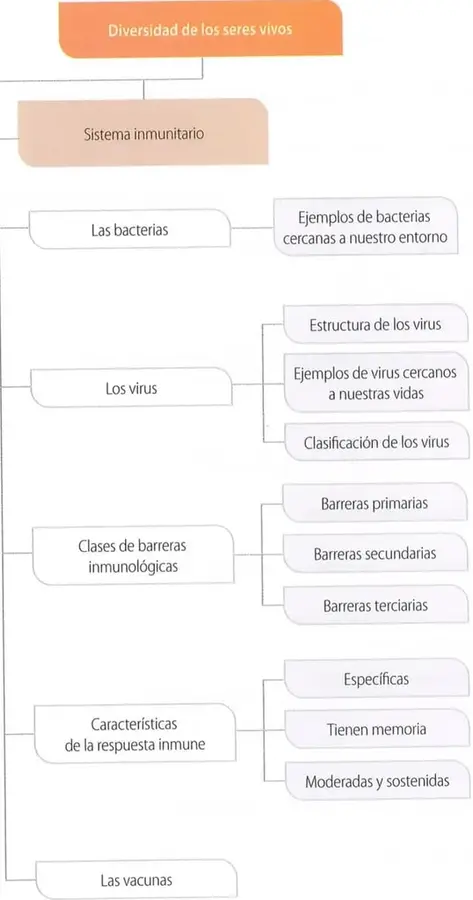 Figura 1 de Ciencias Naturales 8° · Egb 8 Ciencias Naturales 2025 · 2025