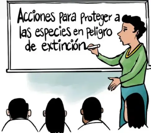 Ilustración de una docente junto a un pizarrón que dice 'Acciones para proteger a las especies en peligro de extinción', frente a un grupo de estudiantes sentados (crédito: Carlos Enrique Villarreal Morales, VIDC PIL).