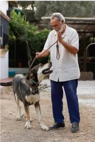 Persona adulta mayor paseando a un perro, ilustrando la convivencia entre generaciones.