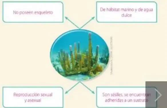 Figura 9 de Ciencias Naturales 5° · Egb 5 Ciencias Naturales 2024 · 2024