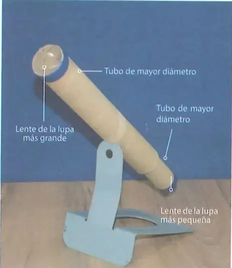 Figura 1 de Ciencias Naturales 8° · Egb 8 Ciencias Naturales 2025 · 2025