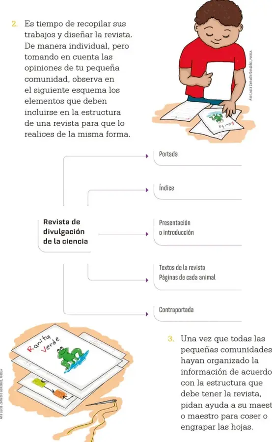 Figura 1 de Proyectos Escolares.   Libro de Educación Primaria Grado 3°  Ciclo Escolar 2025 - 2026