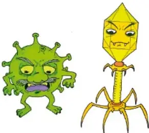 Ilustración de dos microorganismos antropomorfizados: un virus verde con expresión enfadada y un bacteriófago amarillo. Crédito: Jesús González Romero, OAXACA.