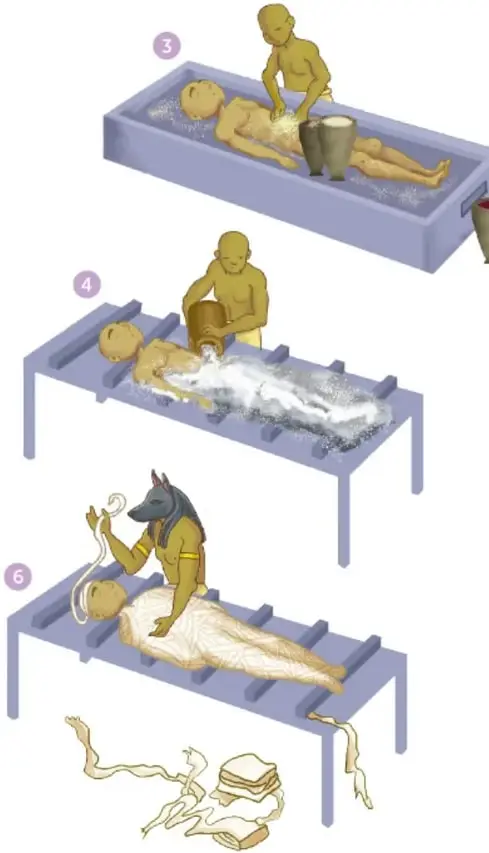 Infografía con 7 escenas del proceso de momificación egipcia: (1) dos personas preparan el cuerpo en una tina con vasijas, (2) extraen órganos hacia vasijas mientras una figura con máscara de chacal (Anubis) oficia y hay humo de incienso, (3) una persona vierte líquido sobre el cuerpo en la tina, (4) el cuerpo se cubre con polvo blanco sobre una tabla con listones, (5) dos personas lavan y ungen el cuerpo sobre una mesa junto a una vasija, (6) una figura con máscara de chacal venda el cuerpo con tiras, con telas y textiles al pie, (7) la momia vendada se coloca en un sarcófago antropoide dorado y azul. Crédito vertical: 'Cristal González Tapia y Daniela Estrada Montero, caja de México'.