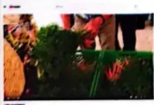 Recurso de competencia digital sobre agricultura sustentable y orgánica en Ecuador.