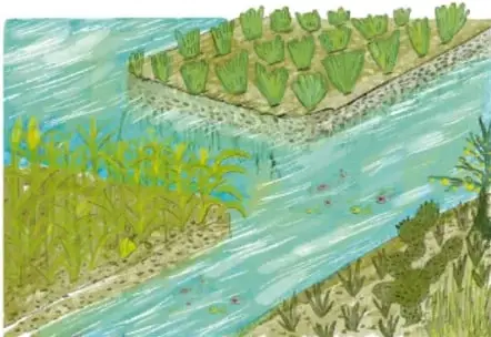 Ilustración de una chinampa: isla con cultivos verdes rodeada de agua, canales y vegetación acuática. Al pie dice 'Cuauhtémoc Wetzka, VERACRUZ'.