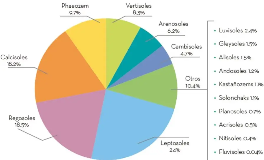Gráfica circular que muestra la proporción de la superficie nacional cubierta por los principales grupos de suelos, con etiquetas y porcentajes.